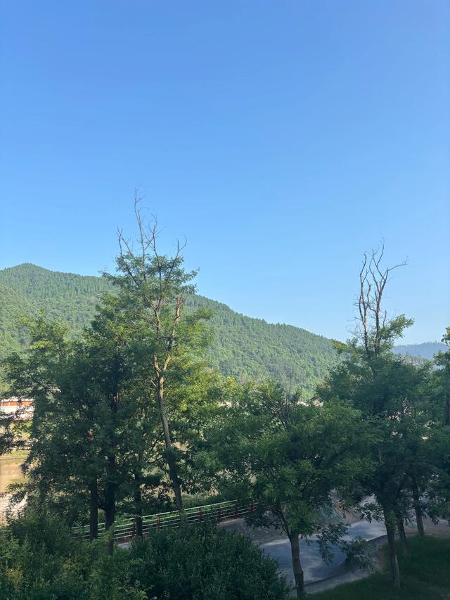 七律·游河边公园