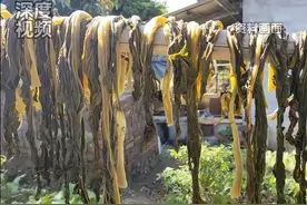 73岁大爷吃自制榨菜后中毒晕倒图片