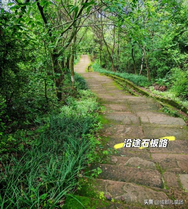 秋天第一座治愈系“果香”山，就在成都南门！