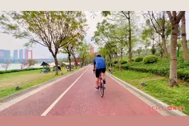 花海绿荫中骑行，赏百里邕江秀美风光图片