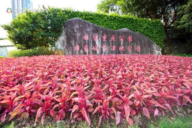 厦门双园盛事！花境艺术×食虫奇观，限时体验指南→