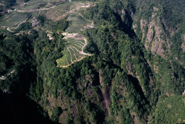 温州这个地方，藏着一群神秘“守泉人”