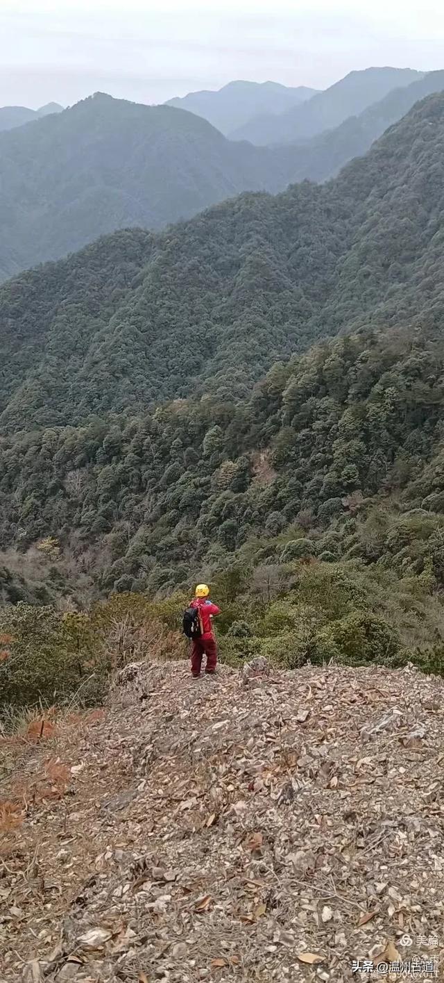 五次试走,终于揭开楠溪江源头永仙边界这条防火道的神秘面纱!