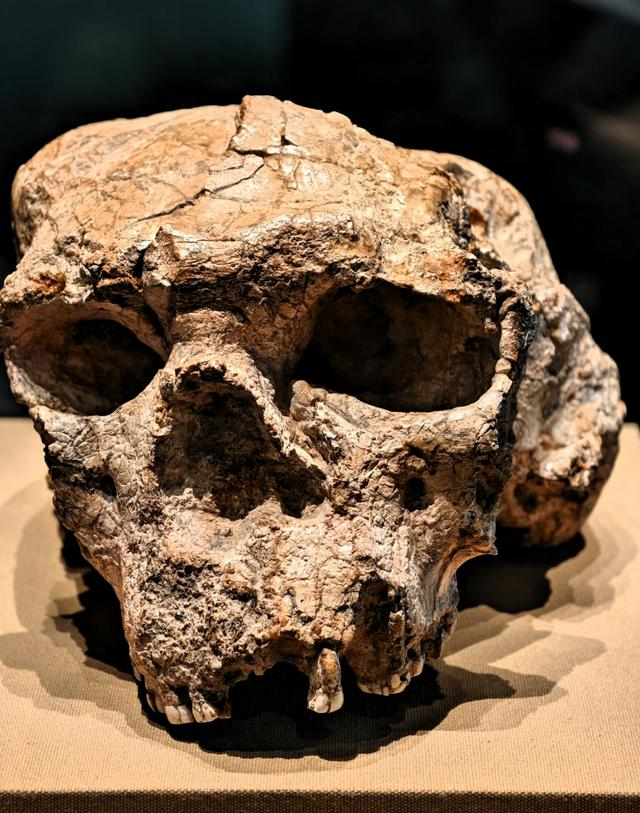 世界上只有中国湖北省十堰市才有的 “全球独一无二的 5 大奇景”