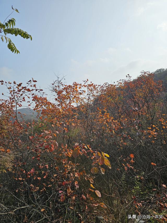 踏遍青山，风景独好，看万山红遍，层林尽染，请尽情欣赏吧