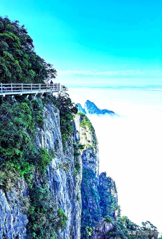 云端之旅——莽山五指峰游记