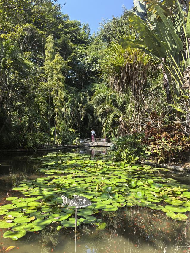 2025.11.30和辽宁沈阳朋友贾大哥游览西双版纳滨江公园