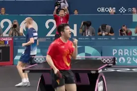 亚洲独苗，挺进决赛！樊振东，4:0横扫对手图片