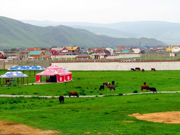 亚洲旅游：难忘自驾穿越蒙古国散记（图）