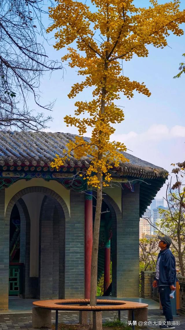 秋染五泉山:兰州城畔的千年诗意与一季斑斓