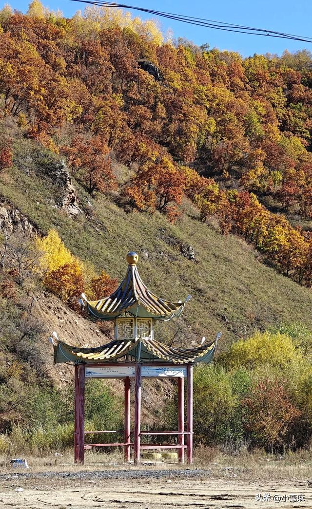 2025我的寻秋之旅D18 新生鄂乡—呼玛