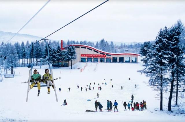 大雪已至 龙江皆雪趣