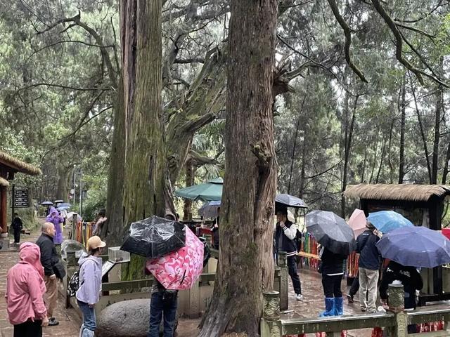 雨中剑门美出诗意！这份剑阁限定浪漫，邀您共赴