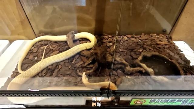 佛坪新增一个秦岭秘境科普馆→