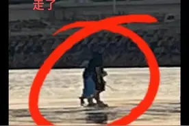 上海4岁女孩走失，后续来了，有网友拍到疑似女孩被人抱走！图片