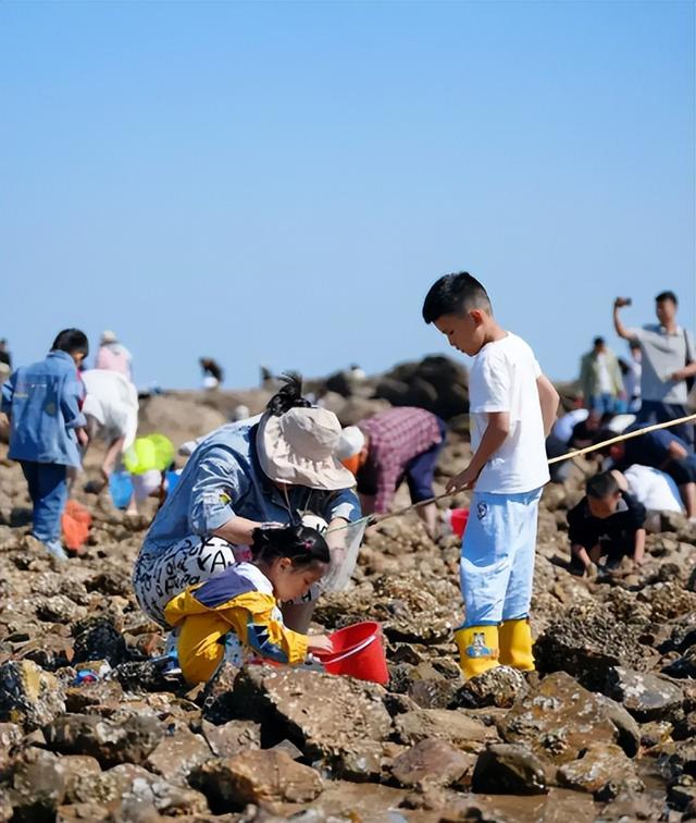 国庆第一批血亏的老板出现！坐地起价，一天降价8次也没人住？