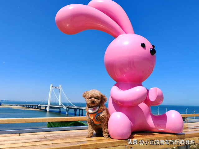 烟台炸裂攻略！2025本地人私藏的十大景点+五大美食，错过亏哭