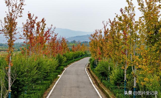 山西襄汾：陶寺遗址秋色美