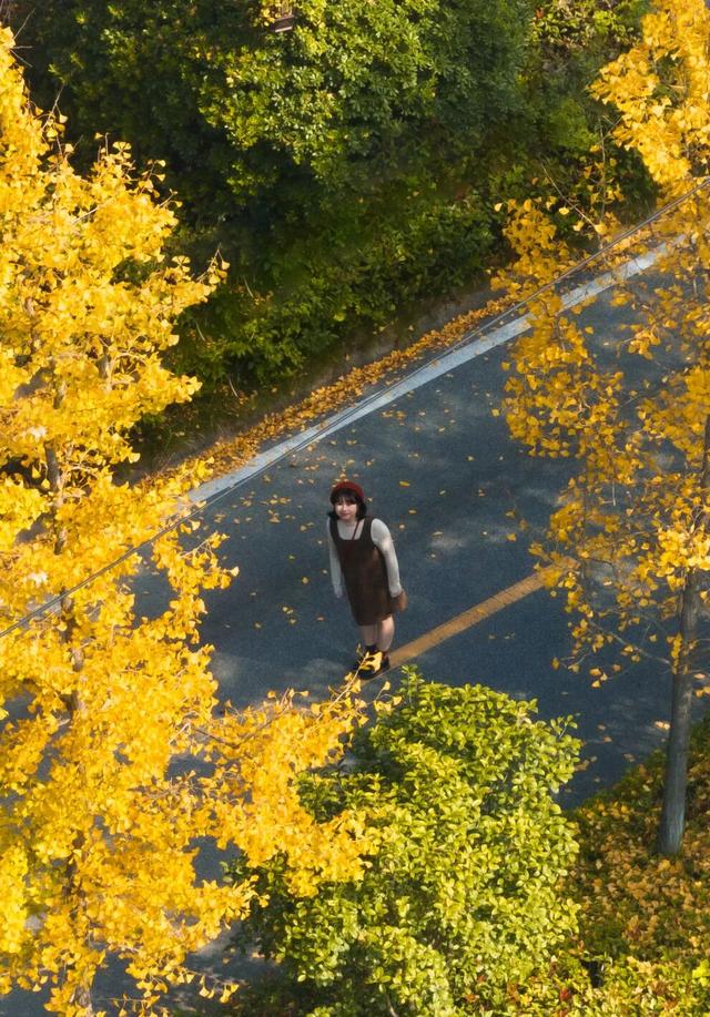 黄陂秋色未尽，快来共赴赏叶寻幽之旅
