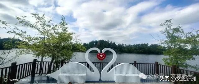 国家3A+1！新洲这个景区“糖分”已超标，有点好嗑，速来！