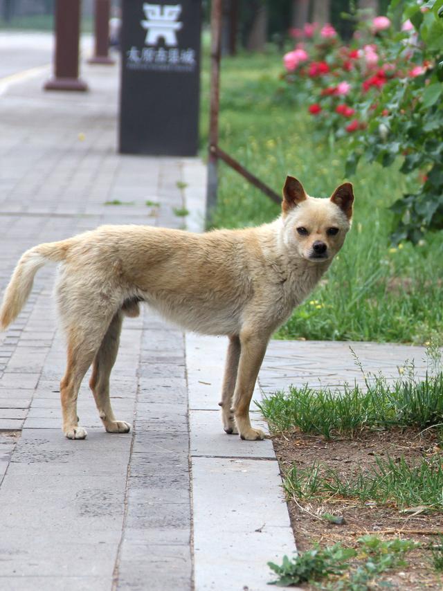 徜徉·太原古县城·太原