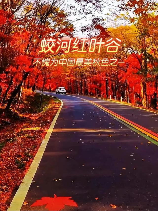 吉林蛟河，被严重低估的秋日宝藏小城，秋日斑斓的色彩盛宴