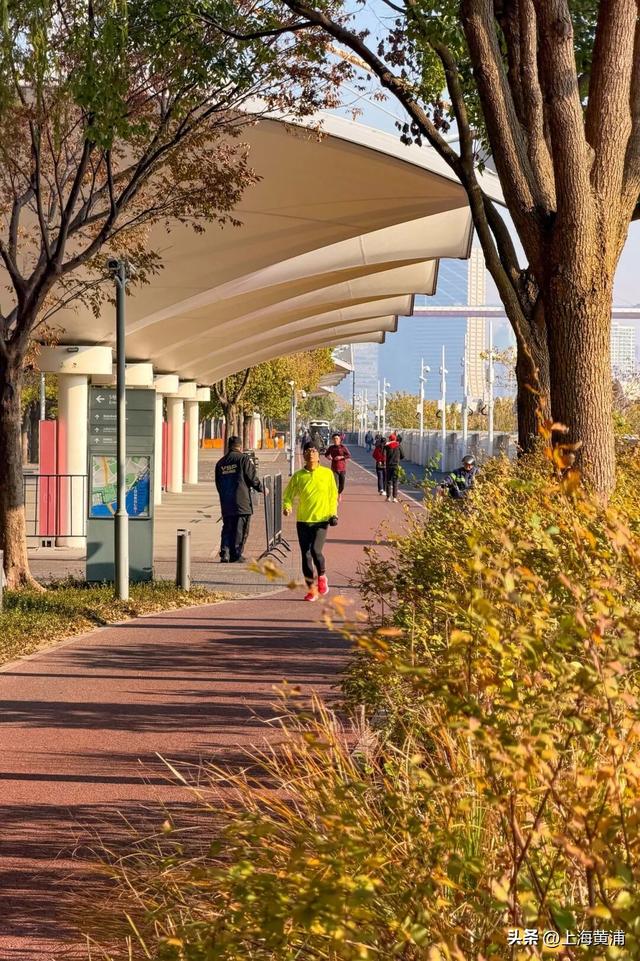 最美的季节！一起来静谧斑斓的黄浦滨江晨跑吧！