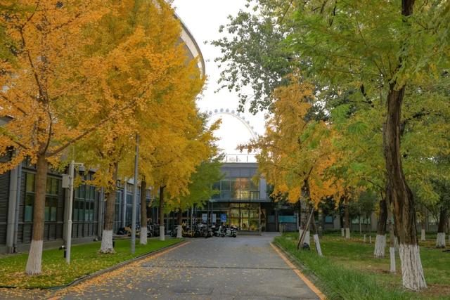 藏不住的惊艳！这座公园正处颜值巅峰