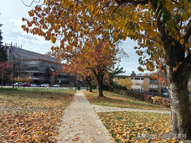 温哥华游记（五）