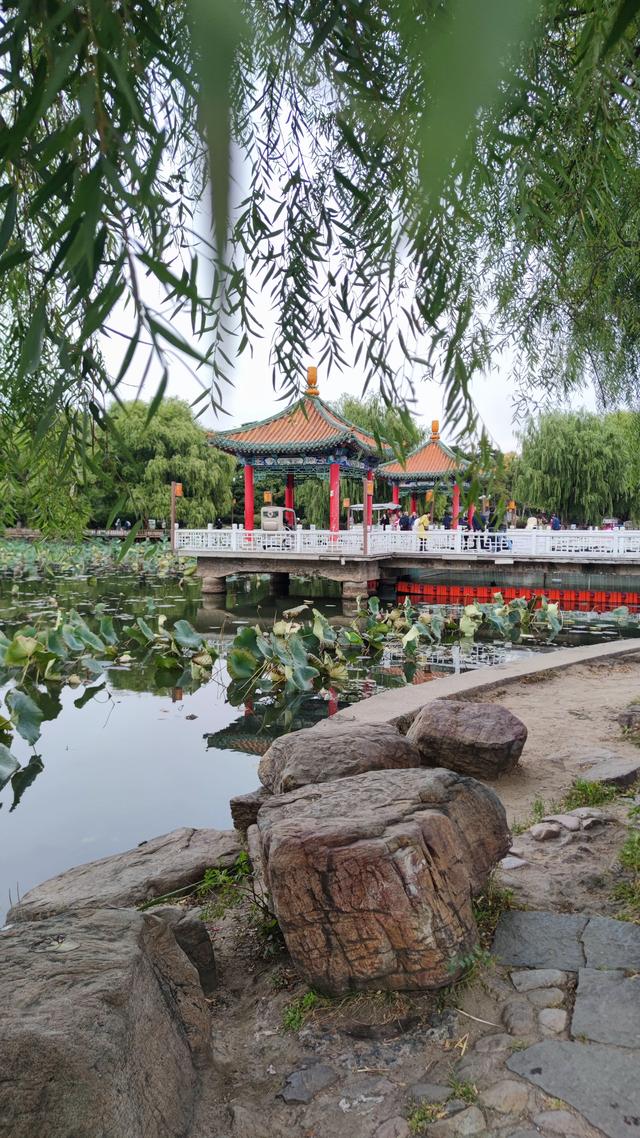 长春这有山摩肩擦踵，南湖公园绿树迎风