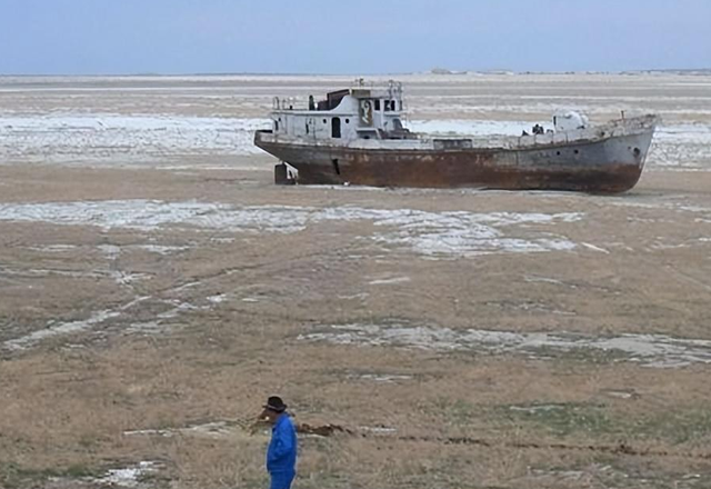 美媒：中国不可怕，可怕的是中国只用10万头猪	，就解决了治沙难题