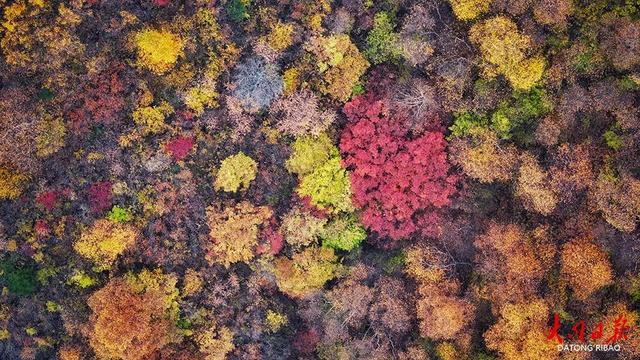 藏不住了！大同广灵圣眷峪“解锁”秋日限定，12公里沟峪美成巨幅暖色谱~