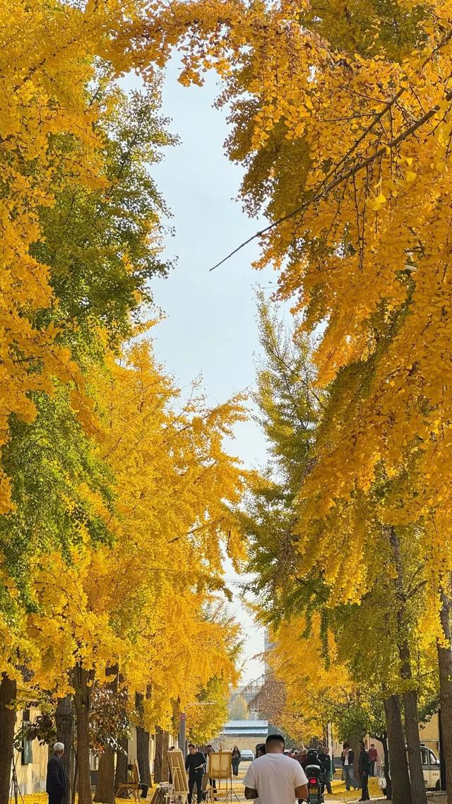 潍坊美景“告急”！这些地方错过等一年！