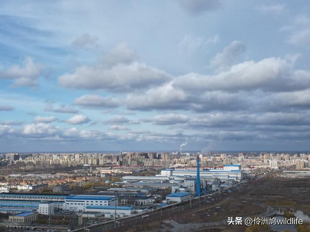 新疆昌吉头屯河公园