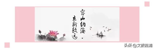 霞浦花沁石，海边莫奈花园的秋冬独属烂漫