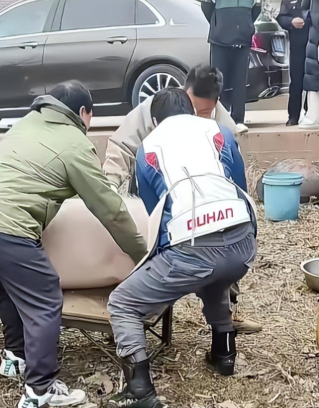 千人杀年猪爆火才几天，令人恶心的一幕就发生了，网友：吃相难看