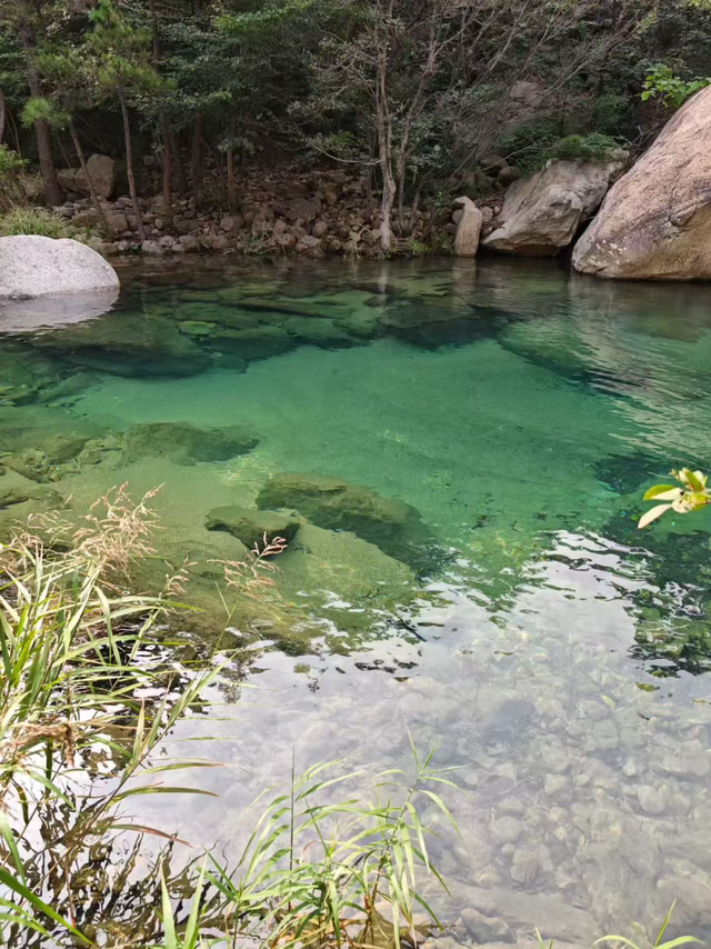这是崂山写给你的秋日情书