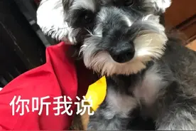 视物晃动变形，地震来袭？眼科专家：小心眼底“地震”蚕食视力图片