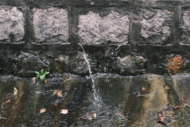 博山连续13天降雨竟泡出千年古泉！连县志都没记载其名