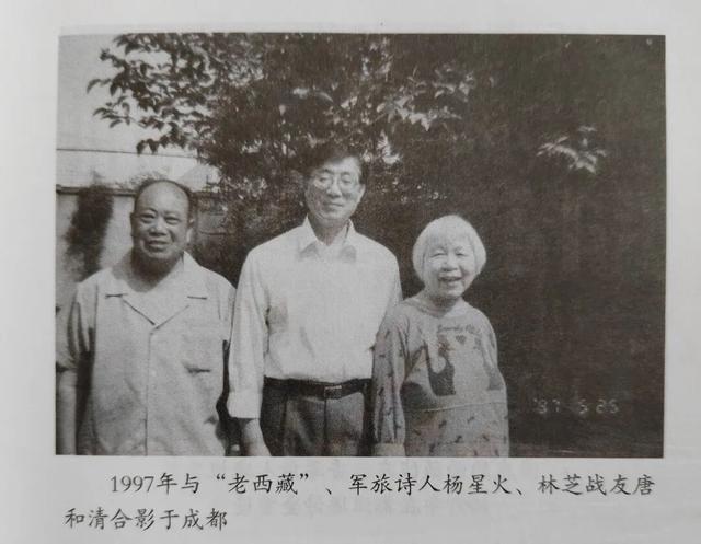 凡拿西藏当故乡的人，都有一朵格桑花的印记