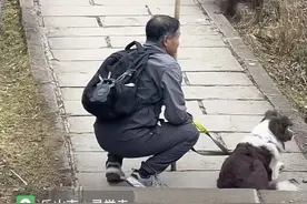 视频热传男子牵狗在峨眉山挑衅猴群？视频发布者系剪辑拼接而成。景区回应：带狗游客没有与猴群撕咬图片