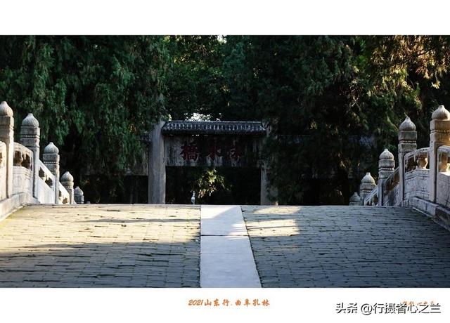 山东行游影记（226）—曲阜孔林（二）
