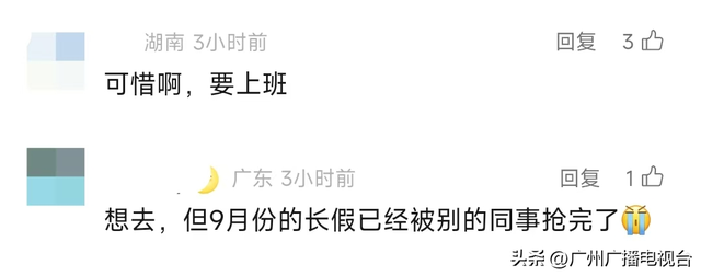 机票价格“大跳水”！暴跌70%！错峰出游正当时