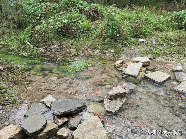 雨访南西安村玉泉