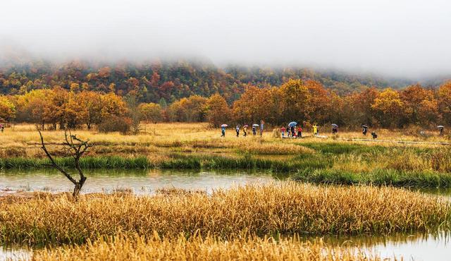 11月-12月，适合深秋自驾的8个地方，沿路都是好风景