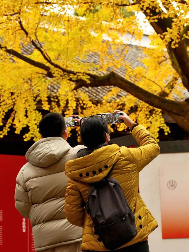 还起什么标题，美不美你们直接看！