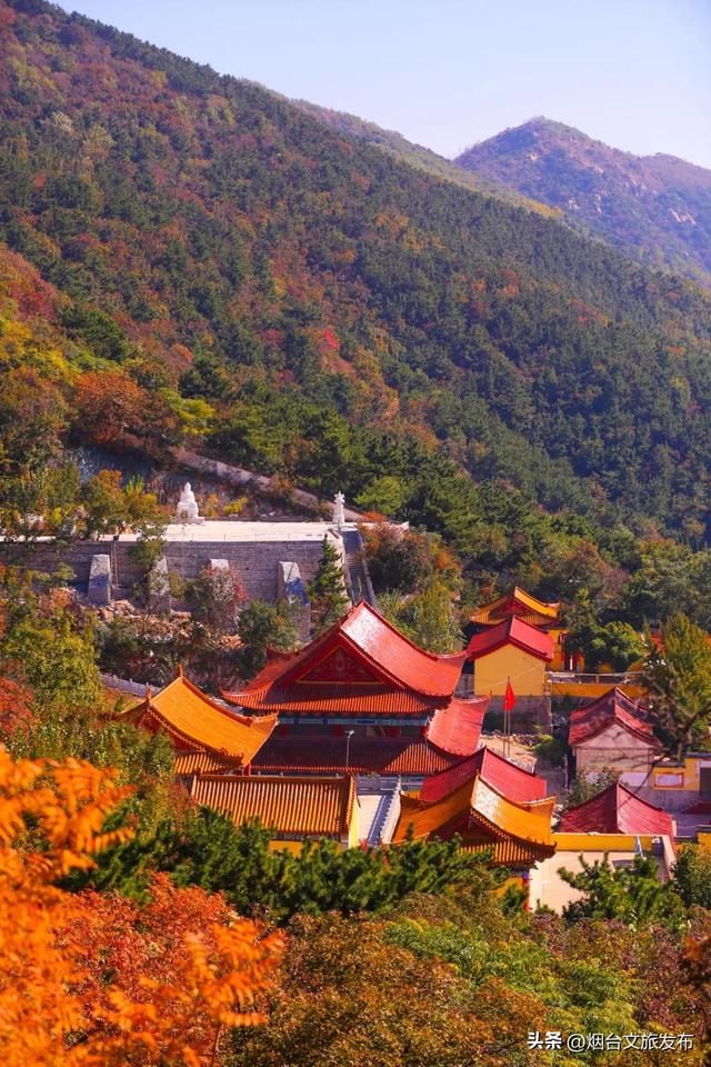 【乐游烟台】提前码住!烟台“红色浪潮”即将返场!