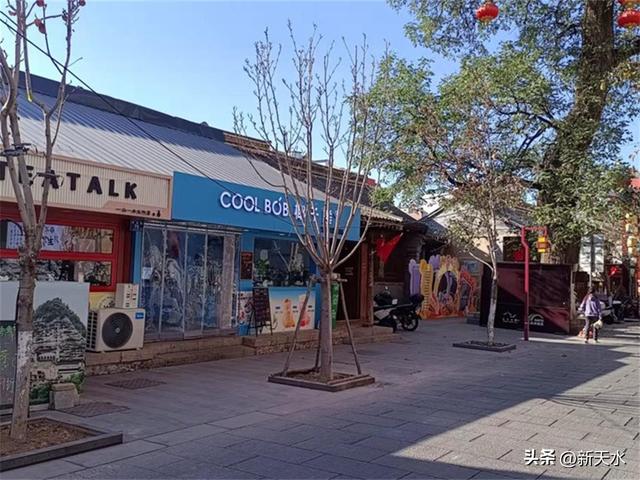 区园林建设服务中心：古城自由路玉兰更新 厚植“玉兰绣古韵”文旅底色