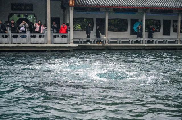 “零距离”赏泉！济南金秋十大沉浸式泉水体验游来了！