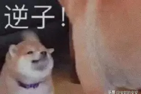 拿去用，专怼小人的阴阳句子！图片